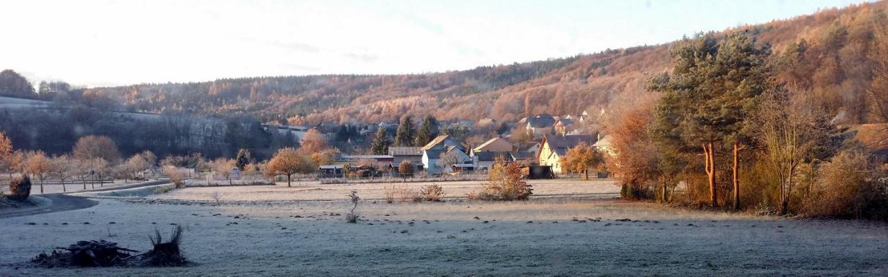 Landgasthof Zum Hirschen Hafenlohr Экстерьер фото